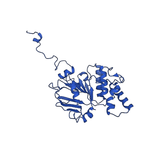 30369_7ch6_C_v1-1
Cryo-EM structure of E.coli MlaFEB with AMPPNP