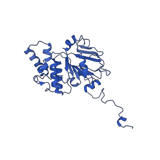 30369_7ch6_D_v1-0
Cryo-EM structure of E.coli MlaFEB with AMPPNP