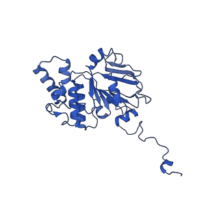 30369_7ch6_D_v1-1
Cryo-EM structure of E.coli MlaFEB with AMPPNP