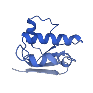 30369_7ch6_E_v1-0
Cryo-EM structure of E.coli MlaFEB with AMPPNP