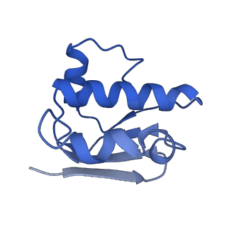 30369_7ch6_E_v1-1
Cryo-EM structure of E.coli MlaFEB with AMPPNP