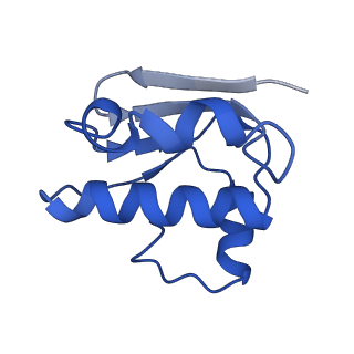 30369_7ch6_F_v1-0
Cryo-EM structure of E.coli MlaFEB with AMPPNP