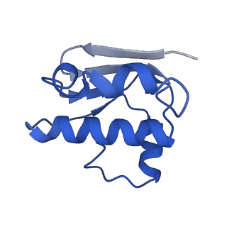 30369_7ch6_F_v1-1
Cryo-EM structure of E.coli MlaFEB with AMPPNP