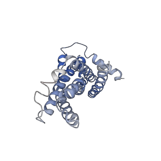 30370_7ch7_A_v1-1
Cryo-EM structure of E.coli MlaFEB