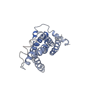 30370_7ch7_A_v1-2
Cryo-EM structure of E.coli MlaFEB