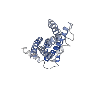 30370_7ch7_B_v1-1
Cryo-EM structure of E.coli MlaFEB