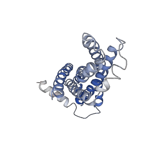 30370_7ch7_B_v1-2
Cryo-EM structure of E.coli MlaFEB