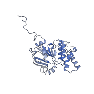 30370_7ch7_C_v1-1
Cryo-EM structure of E.coli MlaFEB