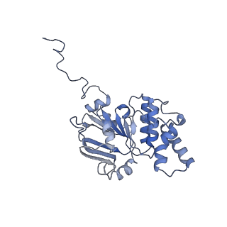 30370_7ch7_C_v1-2
Cryo-EM structure of E.coli MlaFEB