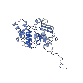 30370_7ch7_D_v1-1
Cryo-EM structure of E.coli MlaFEB