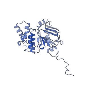 30370_7ch7_D_v1-2
Cryo-EM structure of E.coli MlaFEB