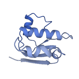 30370_7ch7_E_v1-1
Cryo-EM structure of E.coli MlaFEB