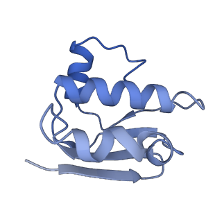 30370_7ch7_E_v1-2
Cryo-EM structure of E.coli MlaFEB