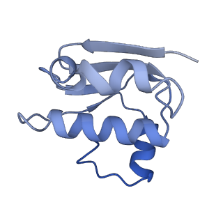 30370_7ch7_F_v1-1
Cryo-EM structure of E.coli MlaFEB