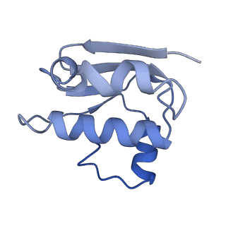 30370_7ch7_F_v1-2
Cryo-EM structure of E.coli MlaFEB