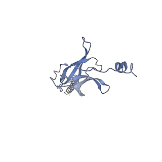 30372_7ch9_C_v1-0
Cryo-EM structure of P.aeruginosa MlaFEBD
