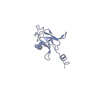 30372_7ch9_D_v1-0
Cryo-EM structure of P.aeruginosa MlaFEBD