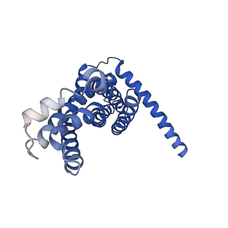 30372_7ch9_G_v1-0
Cryo-EM structure of P.aeruginosa MlaFEBD