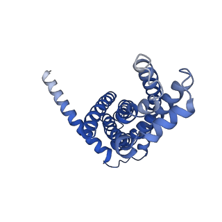 30372_7ch9_H_v1-0
Cryo-EM structure of P.aeruginosa MlaFEBD