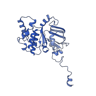 30372_7ch9_I_v1-0
Cryo-EM structure of P.aeruginosa MlaFEBD