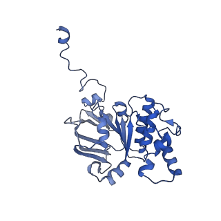 30372_7ch9_J_v1-0
Cryo-EM structure of P.aeruginosa MlaFEBD