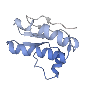 30372_7ch9_K_v1-0
Cryo-EM structure of P.aeruginosa MlaFEBD