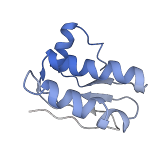 30372_7ch9_L_v1-0
Cryo-EM structure of P.aeruginosa MlaFEBD