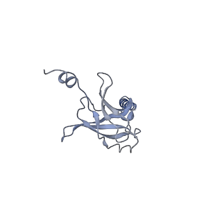 30373_7cha_B_v1-1
Cryo-EM structure of P.aeruginosa MlaFEBD with AMPPNP