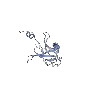 30373_7cha_B_v1-2
Cryo-EM structure of P.aeruginosa MlaFEBD with AMPPNP