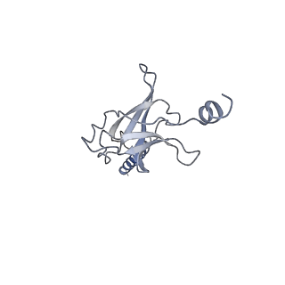 30373_7cha_C_v1-2
Cryo-EM structure of P.aeruginosa MlaFEBD with AMPPNP