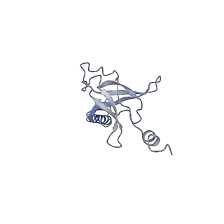 30373_7cha_D_v1-1
Cryo-EM structure of P.aeruginosa MlaFEBD with AMPPNP