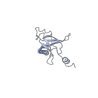 30373_7cha_D_v1-2
Cryo-EM structure of P.aeruginosa MlaFEBD with AMPPNP