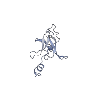 30373_7cha_E_v1-1
Cryo-EM structure of P.aeruginosa MlaFEBD with AMPPNP