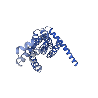 30373_7cha_G_v1-1
Cryo-EM structure of P.aeruginosa MlaFEBD with AMPPNP
