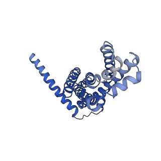 30373_7cha_H_v1-1
Cryo-EM structure of P.aeruginosa MlaFEBD with AMPPNP