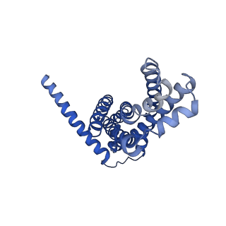 30373_7cha_H_v1-2
Cryo-EM structure of P.aeruginosa MlaFEBD with AMPPNP