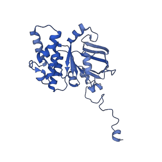 30373_7cha_I_v1-1
Cryo-EM structure of P.aeruginosa MlaFEBD with AMPPNP