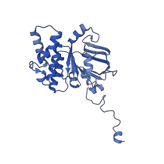 30373_7cha_I_v1-2
Cryo-EM structure of P.aeruginosa MlaFEBD with AMPPNP