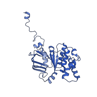 30373_7cha_J_v1-1
Cryo-EM structure of P.aeruginosa MlaFEBD with AMPPNP