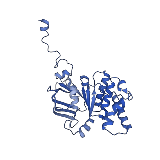 30373_7cha_J_v1-2
Cryo-EM structure of P.aeruginosa MlaFEBD with AMPPNP