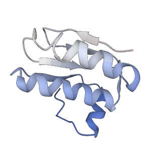 30373_7cha_K_v1-1
Cryo-EM structure of P.aeruginosa MlaFEBD with AMPPNP