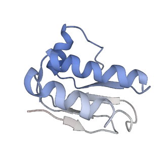 30373_7cha_L_v1-1
Cryo-EM structure of P.aeruginosa MlaFEBD with AMPPNP