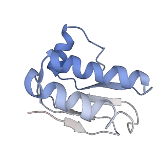 30373_7cha_L_v1-2
Cryo-EM structure of P.aeruginosa MlaFEBD with AMPPNP