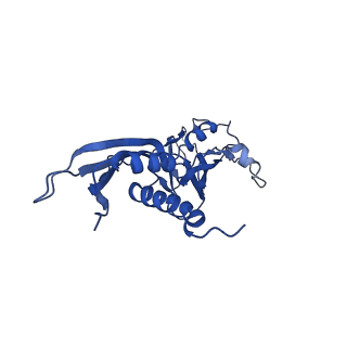 30376_7chw_A_v1-0
Cryo-EM structure of an Escherichia coli RNAP-promoter open complex (RPo)