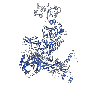 30376_7chw_C_v1-0
Cryo-EM structure of an Escherichia coli RNAP-promoter open complex (RPo)