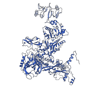 30376_7chw_C_v1-1
Cryo-EM structure of an Escherichia coli RNAP-promoter open complex (RPo)