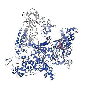 30376_7chw_D_v1-0
Cryo-EM structure of an Escherichia coli RNAP-promoter open complex (RPo)