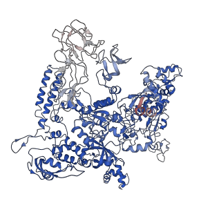 30376_7chw_D_v1-1
Cryo-EM structure of an Escherichia coli RNAP-promoter open complex (RPo)