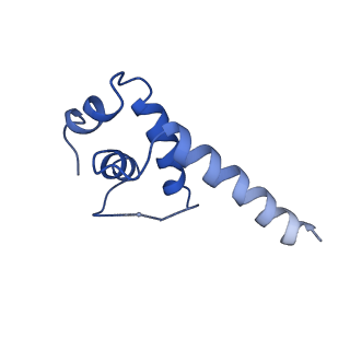 30376_7chw_E_v1-0
Cryo-EM structure of an Escherichia coli RNAP-promoter open complex (RPo)