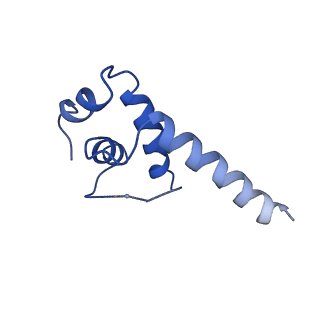 30376_7chw_E_v1-1
Cryo-EM structure of an Escherichia coli RNAP-promoter open complex (RPo)